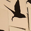 Detail ...damn birds