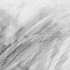 Detail - you idiot