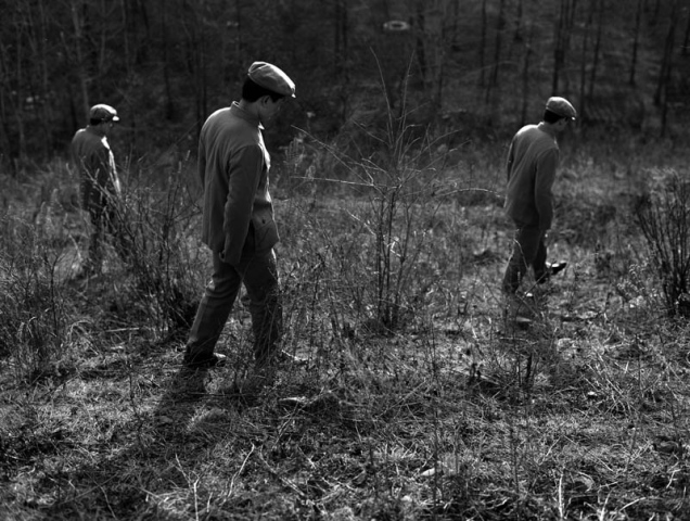 Wang Ningde "Some Day No.31"