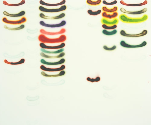 Jaq Chartier "Summer Infusion"
