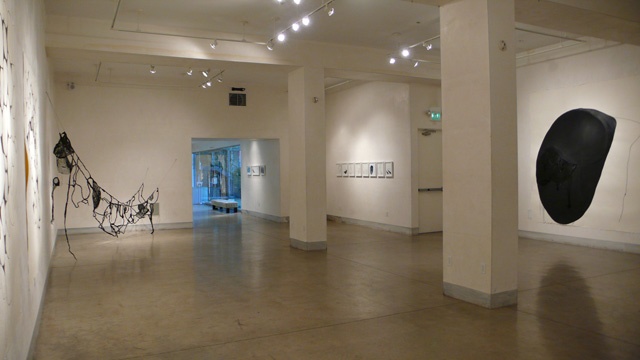Cathy Stone, BLACK Installation at LIMN Art Gallery