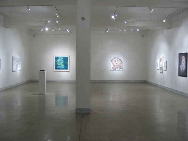 ZOOM +/- Showing at LIMN Art Gallery