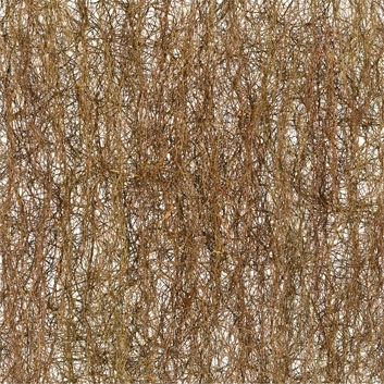 Stephen Galloway "Parallel"