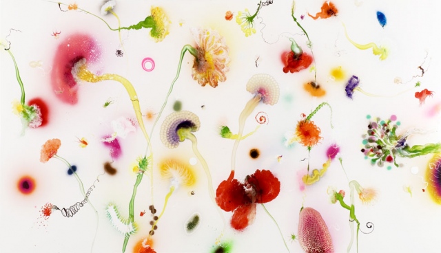 Thierry Feuz "Second Nature"