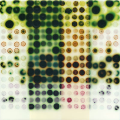 Jaq Chartier "Little Grid 4 green"