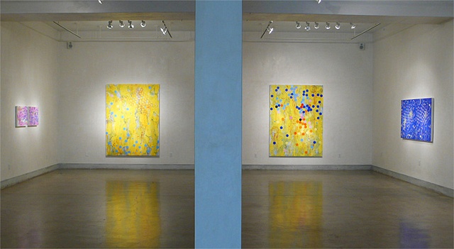 Installation view of Joan Moment: Intermittent Mapping, July 25 - Sept. 12, 2009 at LIMN Gallery