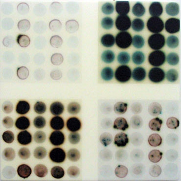 Jaq Chartier "4 Tests Slate"
