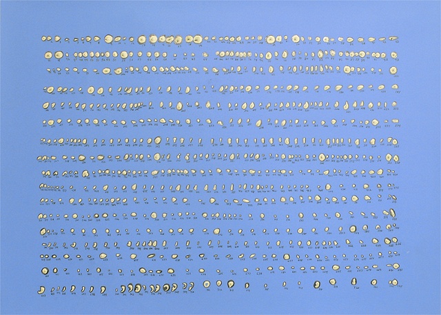 Debra Greene, "723 Collection on Blue"