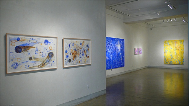 Installation view of Joan Moment: Intermittent Mapping, July 25 - Sept. 12, 2009 at LIMN Gallery