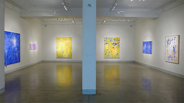 Installation view of Joan Moment: Intermittent Mapping, July 25 - Sept. 12, 2009 at LIMN Gallery