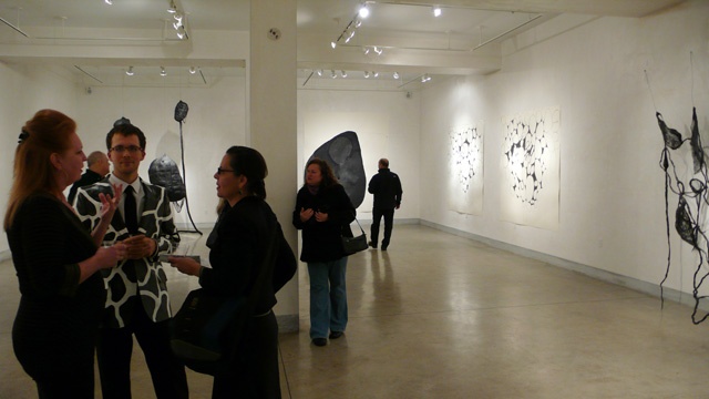 Cathy Stone, BLACK Installation at LIMN Art Gallery, Opening Night, 2009