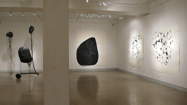 Cathy Stone, BLACK Installation at LIMN Art Gallery