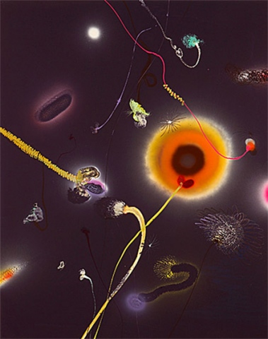 Thierry Feuz "Solaris - Substrat"