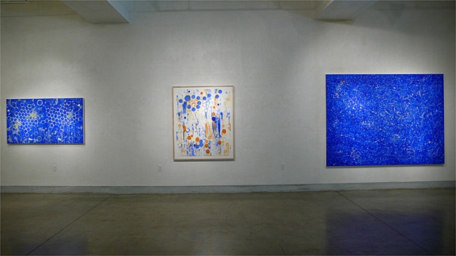 Installation view of Joan Moment: Intermittent Mapping, July 25 - Sept. 12, 2009 at LIMN Gallery