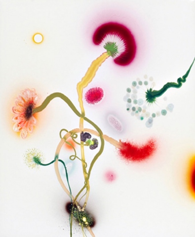 Thierry Feuz "Psychotropical el Dorado I"