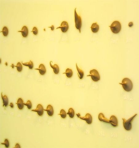 Debra Greene "Bronze Yellow Data:523"