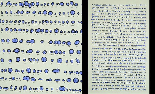 Debra Greene, "1153 Collection on Parchment"