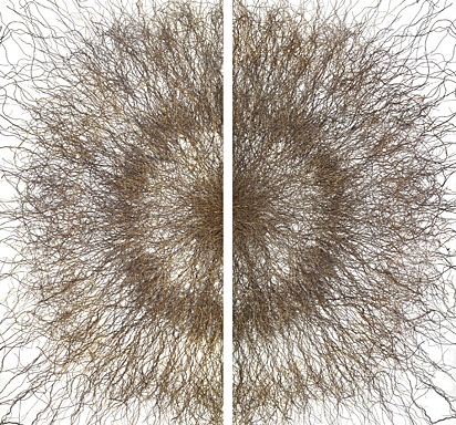 Stephen Galloway "Origin"