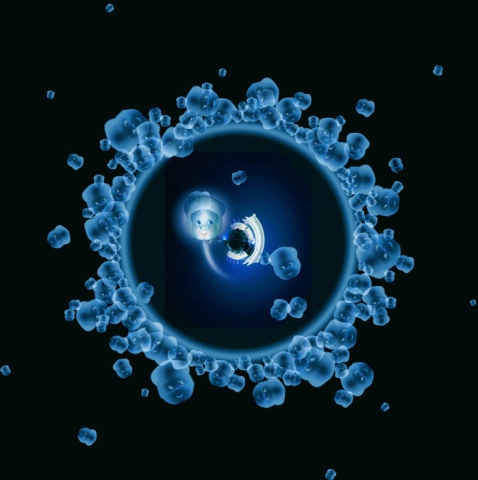 Cell D