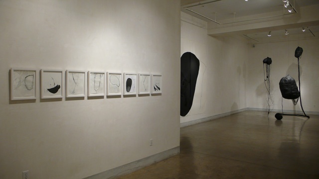 Cathy Stone, BLACK Installation at LIMN Art Gallery
