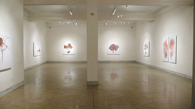 Installation view of "Roots and Shrubs": Nov. 14th - Dec. 31st at LIMN Gallery
