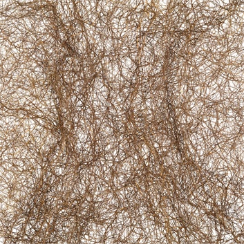 Stephen Galloway "Corpus"