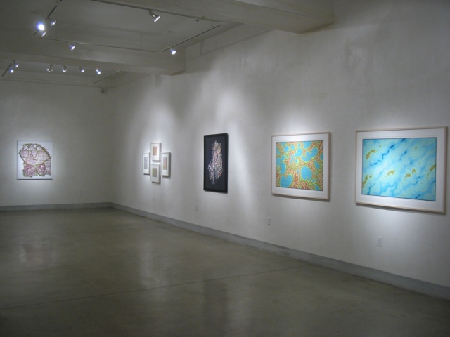 ZOOM +/- Showing at LIMN Art Gallery