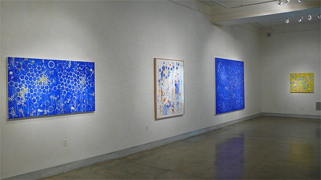 Installation view of Joan Moment: Intermittent Mapping, July 25 - Sept. 12, 2009 at LIMN Gallery