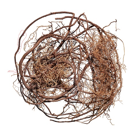 Stephen Galloway, "untitled", 30"x30", 2009