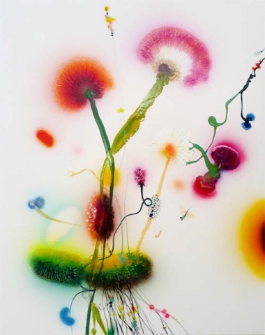 Thierry Feuz "Psychotropical Caprice III"