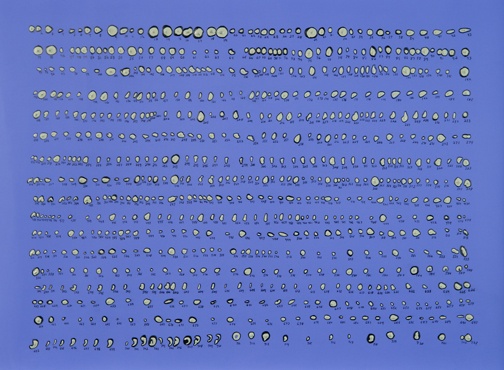Debra Greene, "723 Collection on Blue"