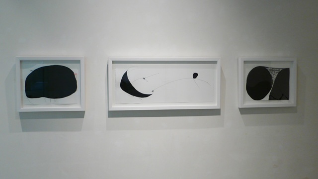 Cathy Stone, BLACK Installation at LIMN Art Gallery