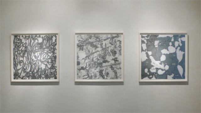 Sid Garrison � 07 08 28, Installation View