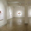 Installation view of "Roots and Shrubs": Nov. 14th - Dec. 31st at LIMN Gallery