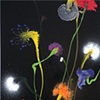 Thierry Feuz, "Psychotropical Demeter"