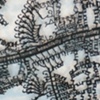 Artwork by Yael Kanarek, "Untitle (Lemon)", detail