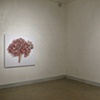 Installation view of "Roots and Shrubs": Nov. 14th - Dec. 31st at LIMN Gallery