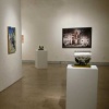 Forces of Nature  group exhibition