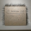 Diane Jacobs "Hair Type"
