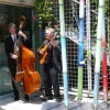 Wedding, June 2008