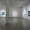 ZOOM +/- Showing at LIMN Art Gallery