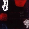 Silvia Poloto  "Observation Dark Gray 2"