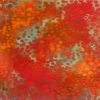 Kathryn St.Clair "Swarm" 
