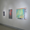 ZOOM +/- Showing at LIMN Art Gallery