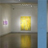 Installation view of Joan Moment: Intermittent Mapping, July 25 - Sept. 12, 2009 at LIMN Gallery