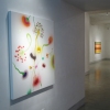 Thierry Feuz  Eldorado  Solo Exhibition