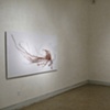 Installation view of "Roots and Shrubs": Nov. 14th - Dec. 31st at LIMN Gallery