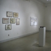 ZOOM +/- Showing at LIMN Art Gallery
