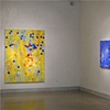 Installation view of Joan Moment: Intermittent Mapping, July 25 - Sept. 12, 2009 at LIMN Gallery