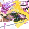 Ted Vasin "Freedom Of The Fool. Mega U"